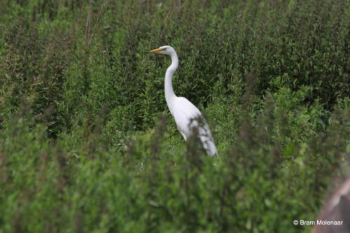 IMG 0049